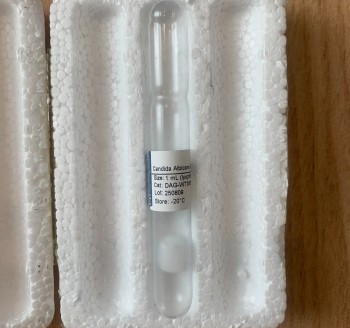 Purified Candida Albicans Mannan (DAG WT3855)