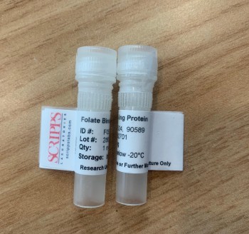 Folate Binding Protein，F0524