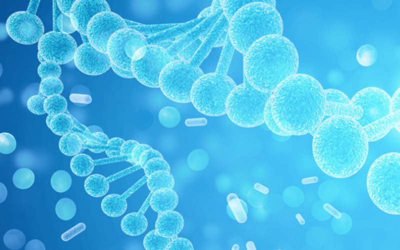 Human TSH Antigen, RecombinantJ11030015-LYO